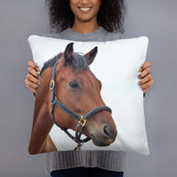 My Horse My Heart Pillow