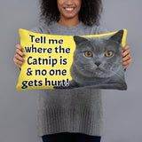 Catnip Cat Pillow