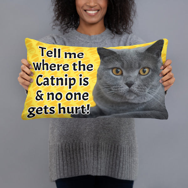 Catnip Cat Pillow