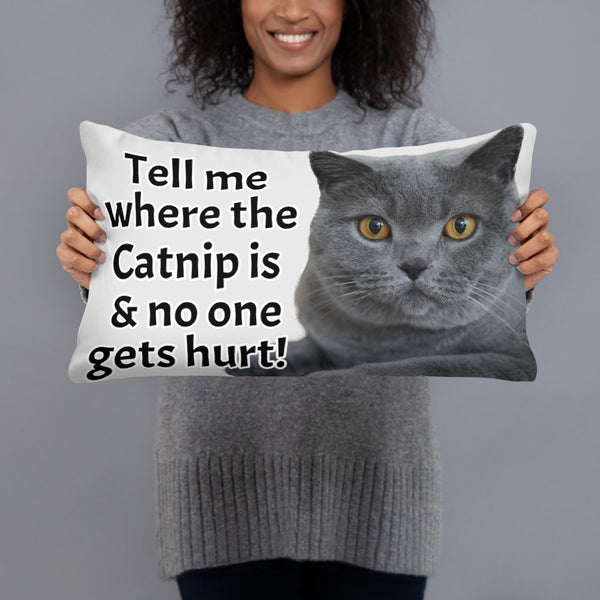 G. Catnip Cat Pillow