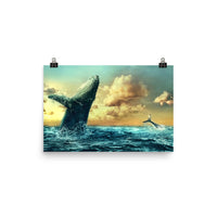 Humpback Sunset Poster