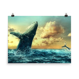 Humpback Sunset Poster