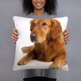 Retriever Didn't Do It Pillow