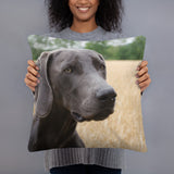 Eyes on the Prize Dog Pillow