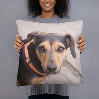 Best Friend Dog Pillow