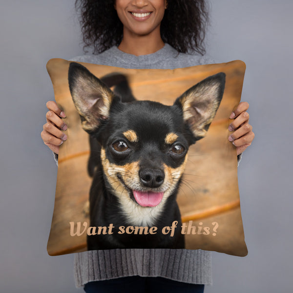 Chihuahua Want Some of This Pillow