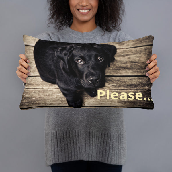 Please Baby Lab Pillow