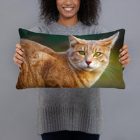 You Talking to Me Cat Pillow