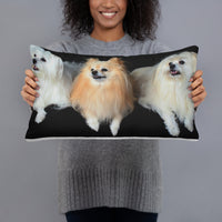 The Pomeranian Collection Pillow