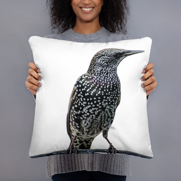 European Starling Pillow - White