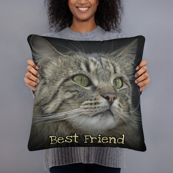 Cat Best Friend Pillow