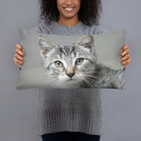 Kitten Time to Eat Pillow