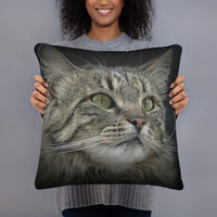 Cat Best Friend Pillow