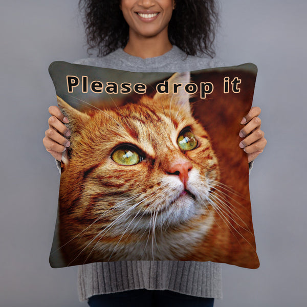 Please Drop It Cat Pillow