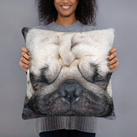 Dreaming Pug Pillow