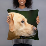 Gotcha Back Lab Pillow