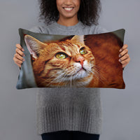 Please Drop It Cat Pillow